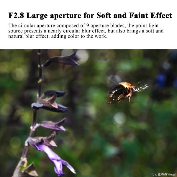 7Artisans 60mm f/2.8 Full-frame 2X Ultra-Macro Lens for E/RF/Z - NIKON Z · 4